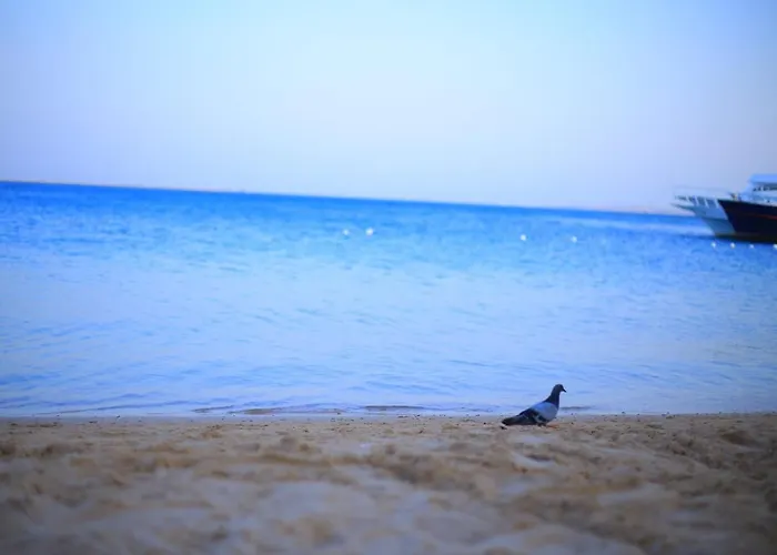 Apartman Al Makramia 2 Bd *